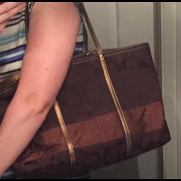 Large Signature Stripe Brown/Bronze Tote - Picture 5 of 8